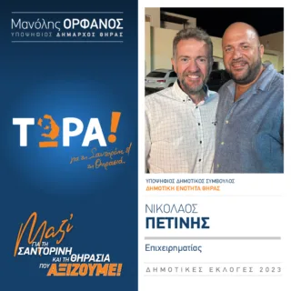 ΠΕΤΙΝΗΣ ΝΙΚΟΣ