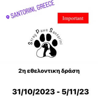 αδεσποτα