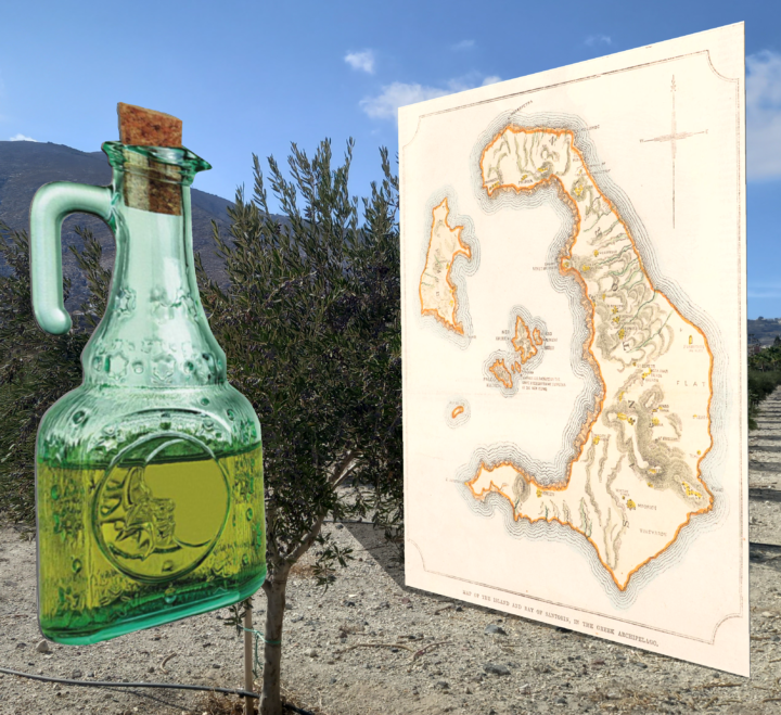 Δήλωση ελαιόδεντρων, προνόμιο με πολλαπλό κέρδος