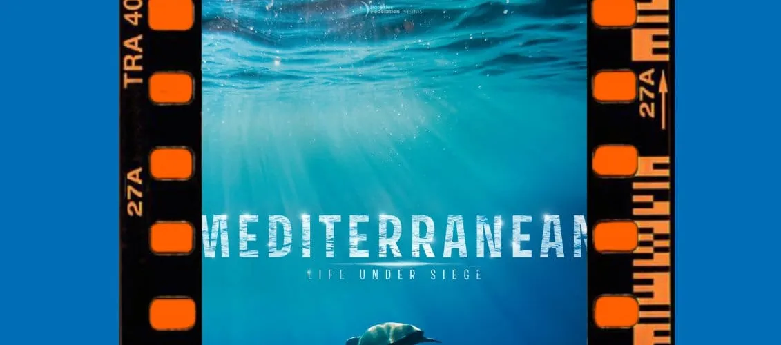 399618413 681928377453110 8875083805346890538 n