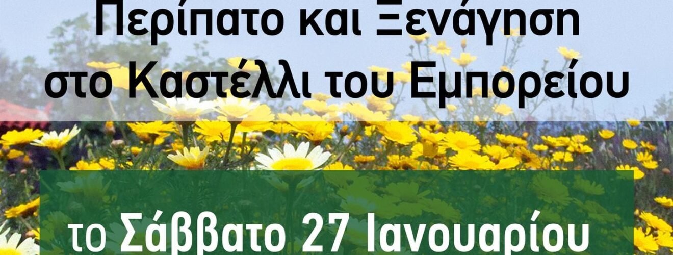 422620747 399781812575842 4664266708626984804 n