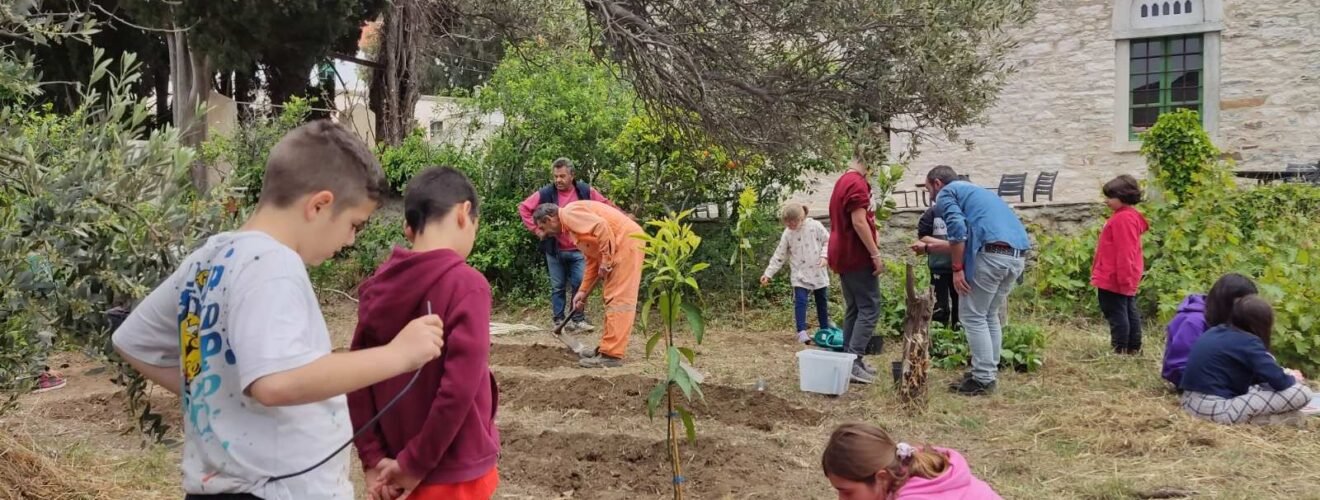 τηνος παιδικα λαχανικά