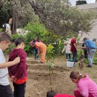 τηνος παιδικα λαχανικά