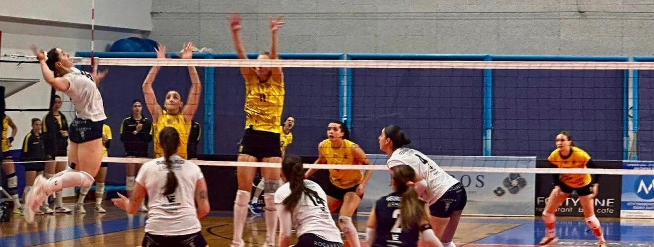 423195023 916377360488082 370618989894342019 n