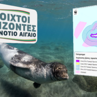 Προστατεύουμε το πιο απειλούμενο με εξαφάνιση θαλάσσιο θηλαστικό της Ευρώπης.