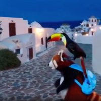 Ένα εκπληκτικά καινοτόμο βίντεο της Σαντορίνης με ΑΙ
