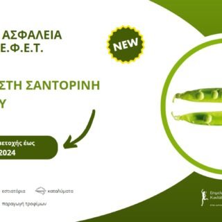 ΣΑΝΤΟΡΙΝΗ ΜΑΙΟΣ