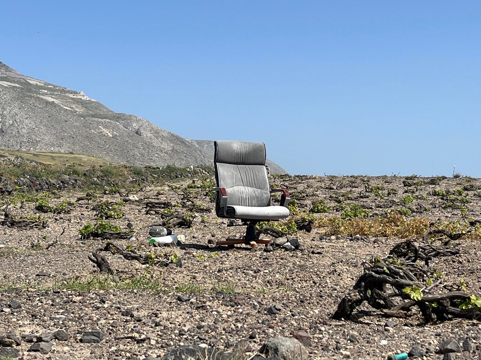 Το γραφείο στον αμπελώνα: καινοτόμος αγροτουρισμός ή εικαστική πρωτοπορία;