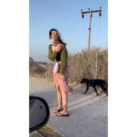 Βίντεο: Αγέλη αδέσποτων, δαγκώνει επισκέπτρια