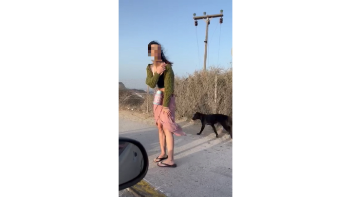 Βίντεο: Αγέλη αδέσποτων, δαγκώνει επισκέπτρια