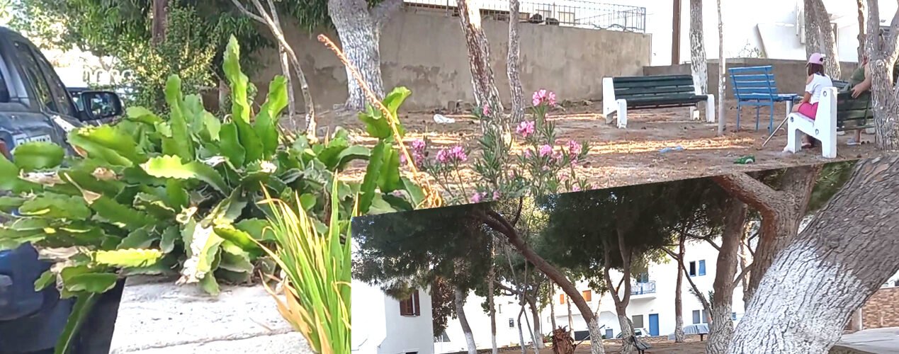 παρκα τσεπης Καμαρι