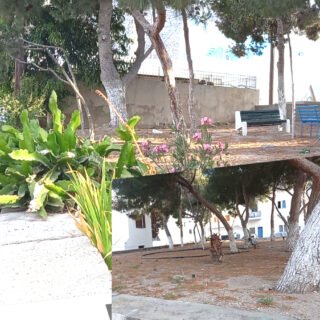 παρκα τσεπης Καμαρι