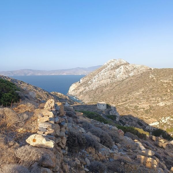 “Έχουν καταβληθεί τεράστιες προσπάθειες από πολλούς, αλλά δυστυχώς παραμένουν άκαρπες”