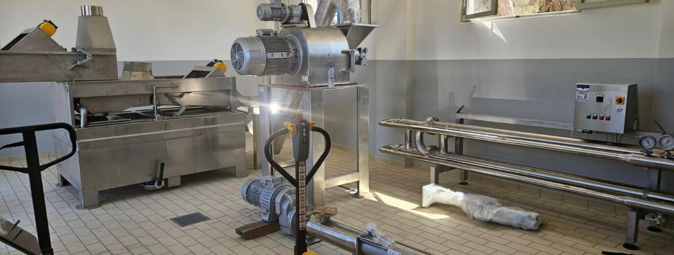 451550476 26428066933458323 1909963667121215913 n