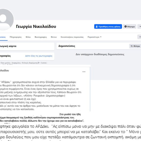 Οι κουκουλοφόροι της ιντερνετικής εποχής