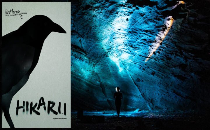 HIKARU 輝 ακτίνα φωτός στο SAF