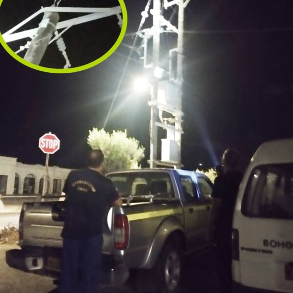 Πυροσβέστες Θήρας: δέχθηκαν κλήση για εγκλωβισμένο πελαργό, έσπευσαν άμεσα αλλά ευτυχώς δεν χρειάστηκε επέμβαση