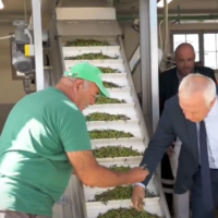 Πλησιάζει η αυλαία της πρώτης λειτουργίας του ελαιοτριβείου