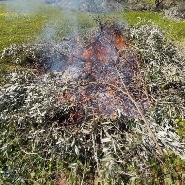 Kladia kafsi fotia 1 860x611