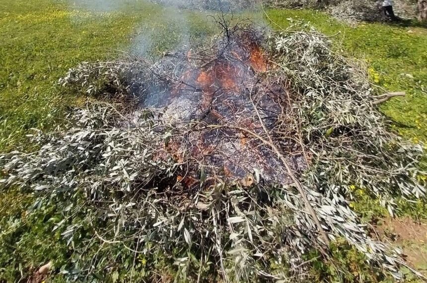 Kladia kafsi fotia 1 860x611