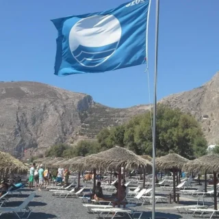 Blueflag
