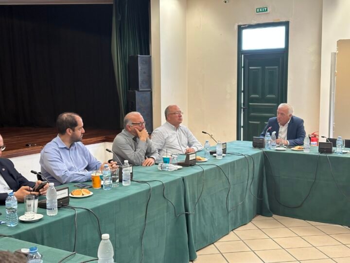 Dimos poltiki prostasia