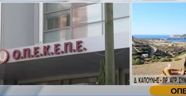 Kapounis