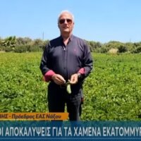 Kapounis