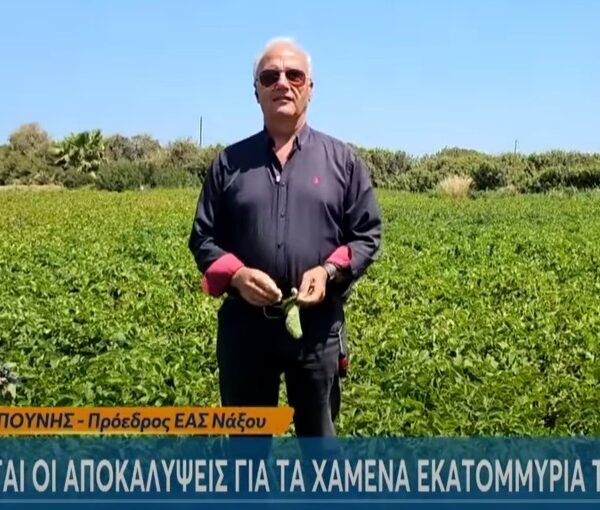 Kapounis
