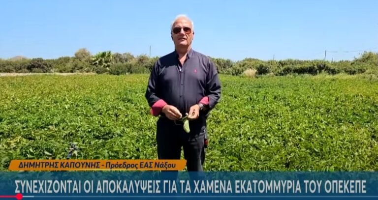 Kapounis