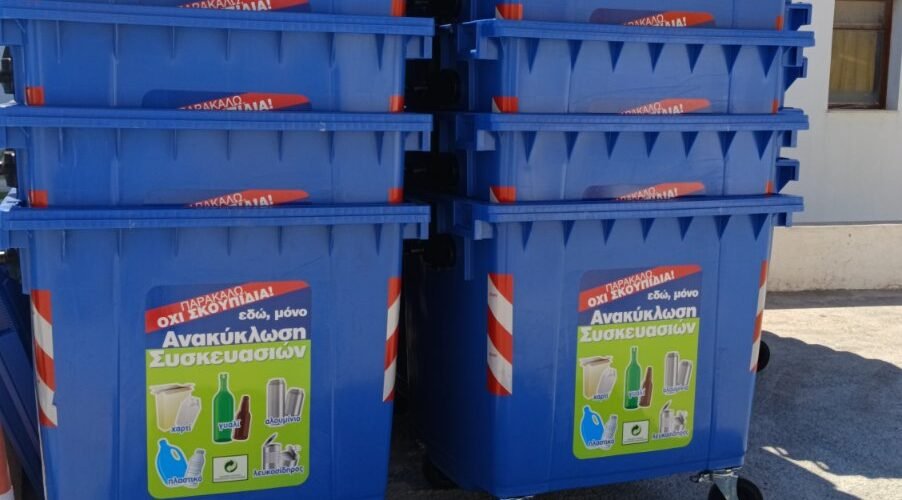 Img 9207a640a00d10a3a78473f0cd4e2023 v