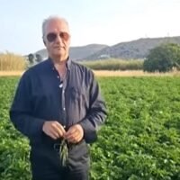Kapounis
