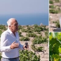 Santowines