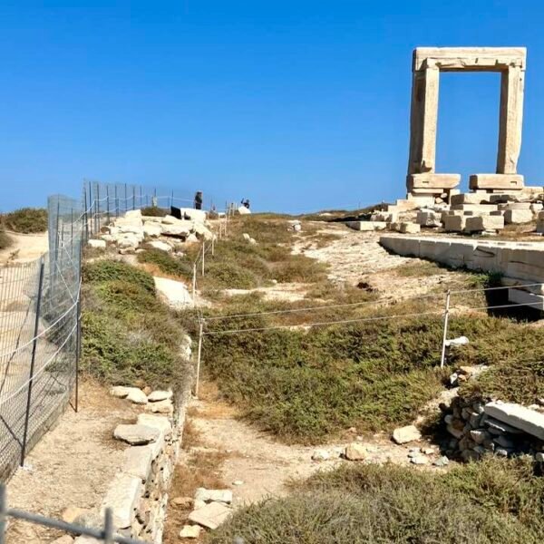 Syrmatoplegma portara 2