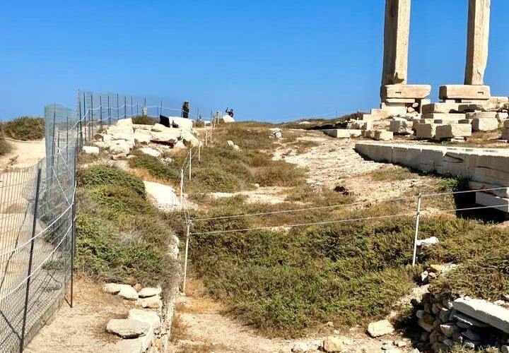 Syrmatoplegma portara 2