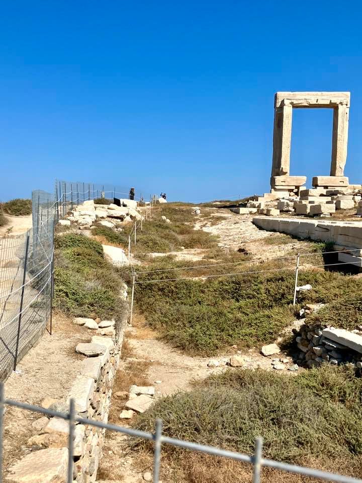 Syrmatoplegma portara 2 