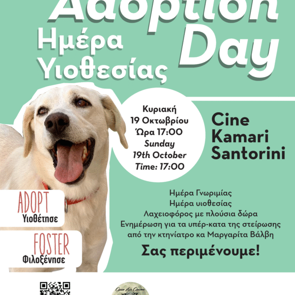 Adoption day