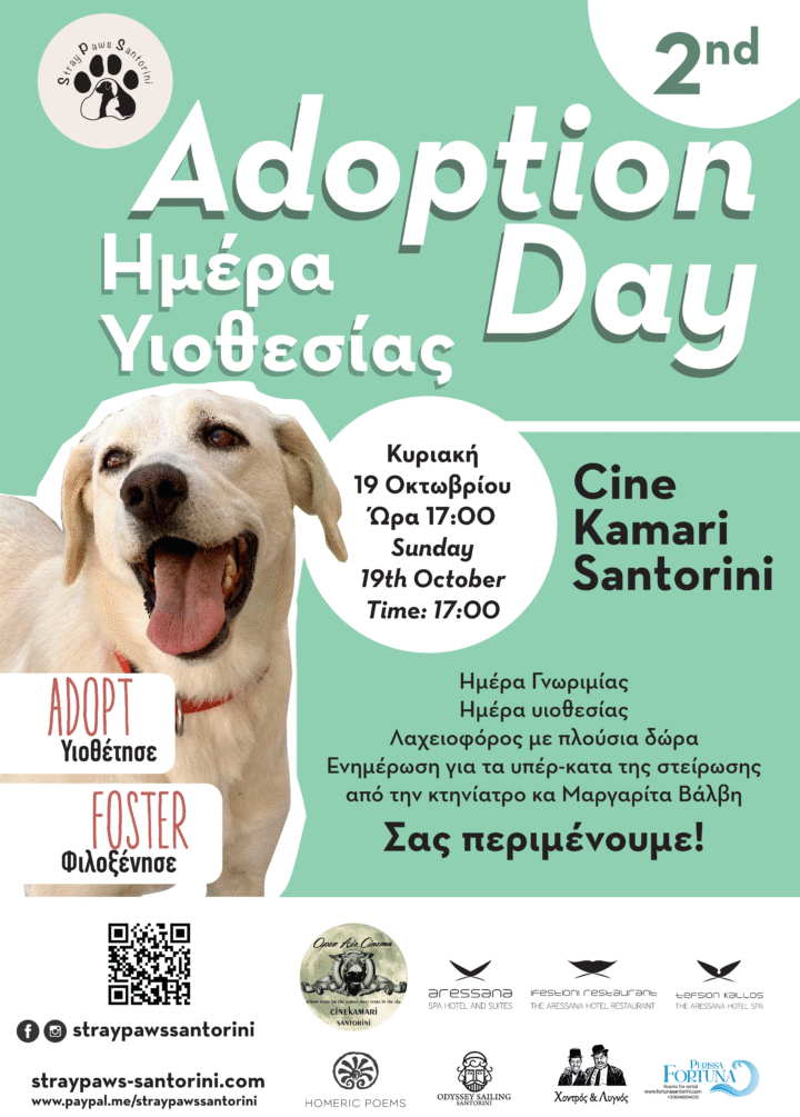 Adoption day