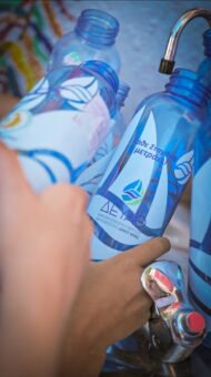 Kathe stagona metraei