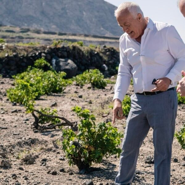 584611318 32890361783895440 1324769382476028951 n