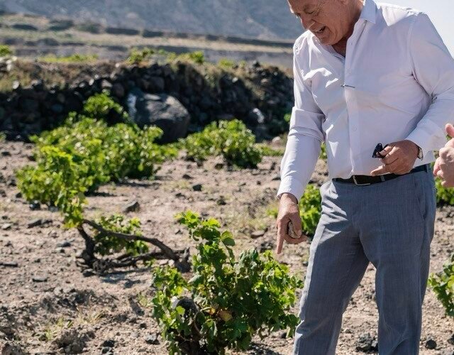 584611318 32890361783895440 1324769382476028951 n