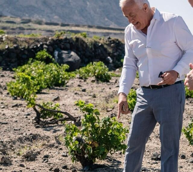 584611318 32890361783895440 1324769382476028951 n