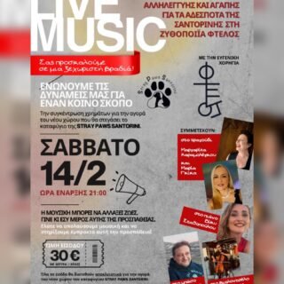 622241338 10240279389346317 7949518345873326770 n