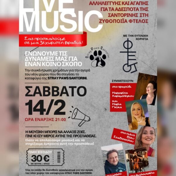 622241338 10240279389346317 7949518345873326770 n