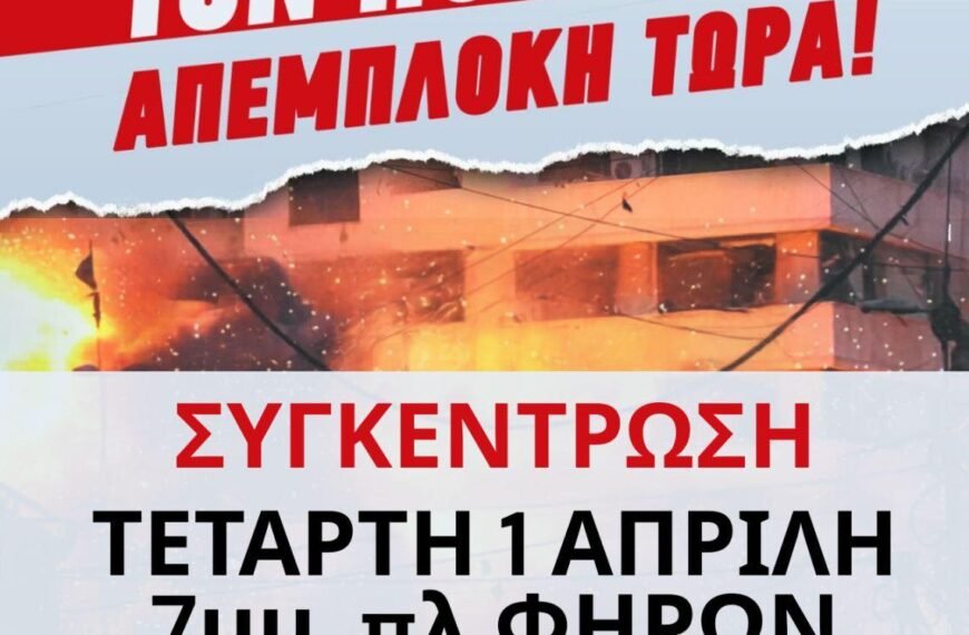 658997686 919150767550492 5475874228276436428 n