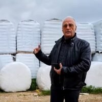 Kapounis2