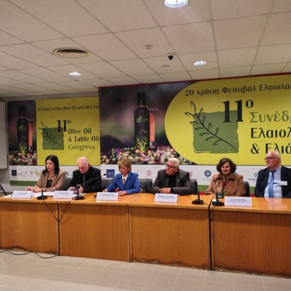 0 02 05 89a4d46303d1e69448c83334ce59ec7a334d9837b54c2f5cd9e540934d37af58 7a6f6f9a1fbe0aa3