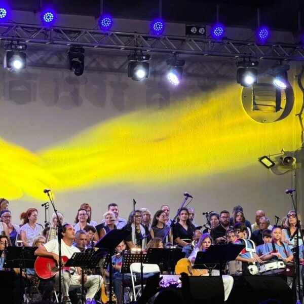 Fest fil